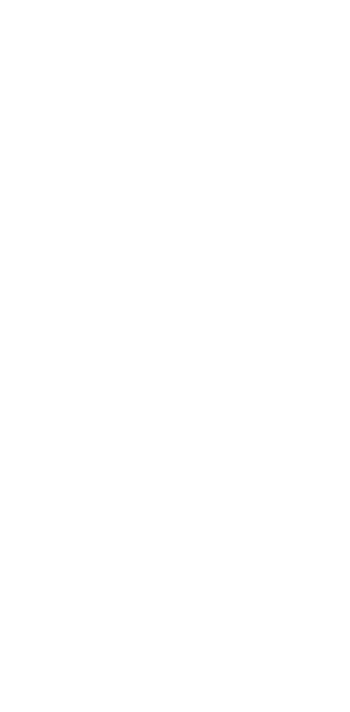 fundacion laso logo
